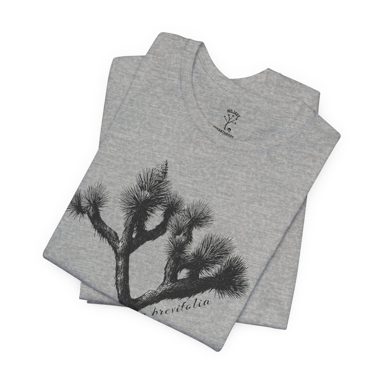 Joshua Tree Botanical Tee - Bella+Canvas Jersey