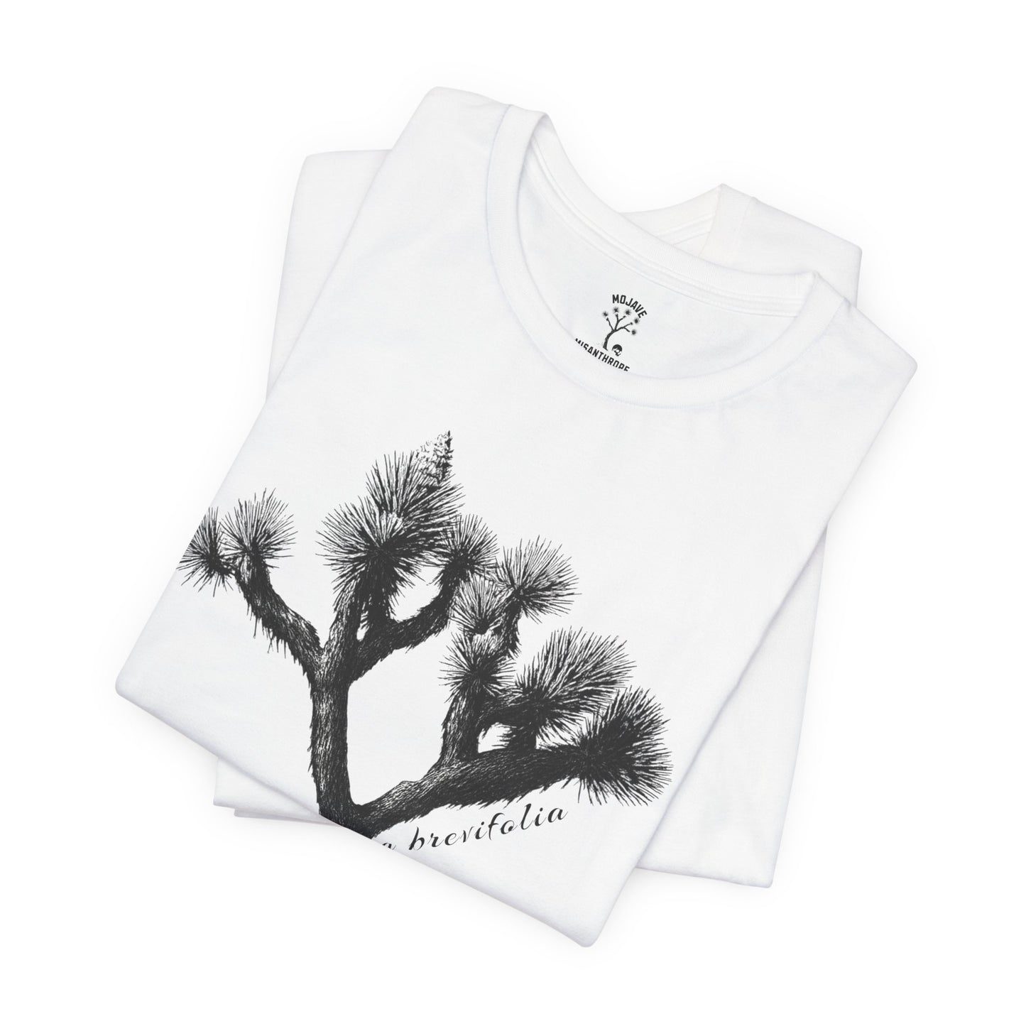 Joshua Tree Botanical Tee - Bella+Canvas Jersey